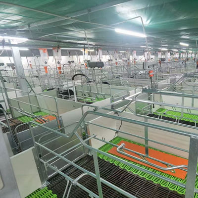 Struktur Baja Ringan Rumah Babi Bangunan Pertanian Prefab Galvanis