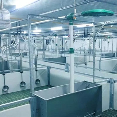 Struktur Baja Ringan Rumah Babi Bangunan Pertanian Prefab Galvanis