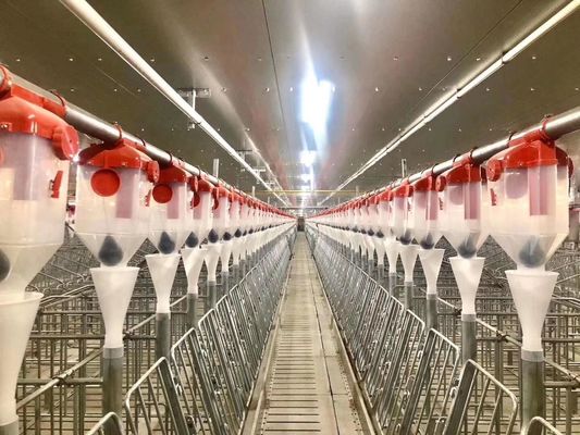 Struktur Baja Tahan Angin Portal Rumah Babi Rangka Baja Pracetak ISO9001