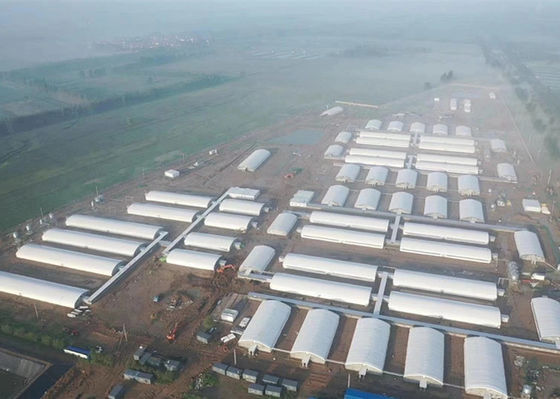 Q355 / Q235 Struktur Baja Rumah Babi Bangunan Baja Industri Tahan Api