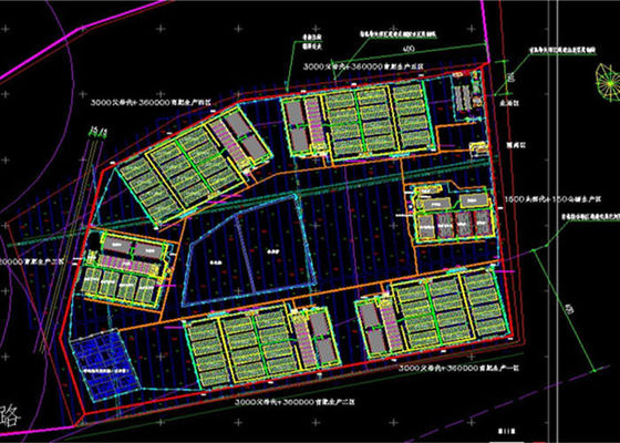 Struktur Baja Prefab Fabrikasi Rumah Babi Industri Galvanis
