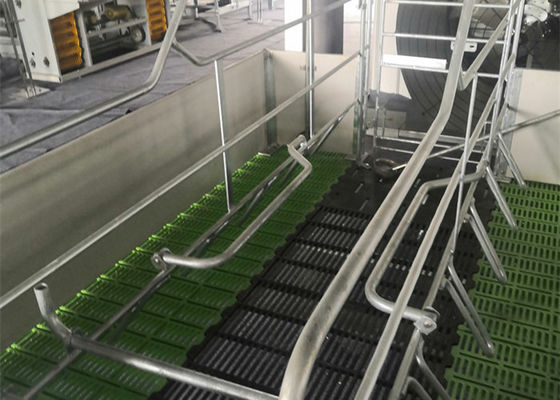 Struktur Baja Prefab Fabrikasi Rumah Babi Industri Galvanis