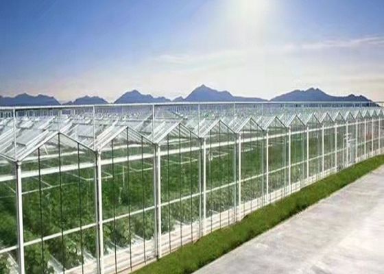 Daman Venlo Glass Greenhouse Penanaman Massal Tomat Hot Dip Galvanis