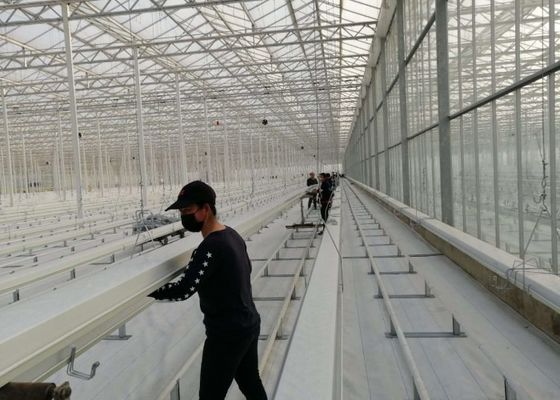 Daman Venlo Glass Greenhouse Penanaman Massal Tomat Hot Dip Galvanis