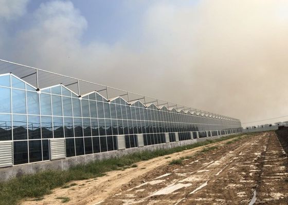 Green Plant Garden Kaca Tempered Rumah Kaca Untuk Bunga Hias Besar