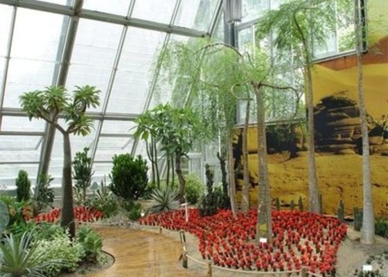 Winter Garden Sunlight Room Baja Kecil Venlo Kaca Rumah Kaca Santai