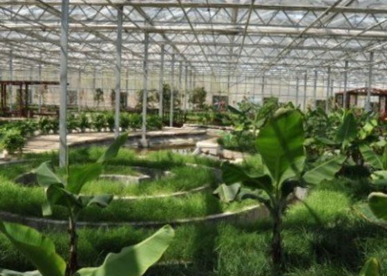 Pipa Galvanis Tamasya Restoran Rumah Kaca Berbentuk Kustom 4600㎡