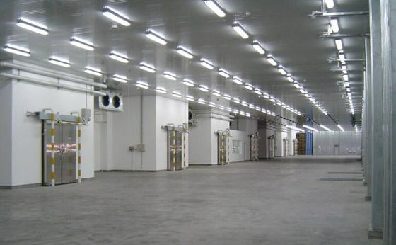 Isolasi Opsional Struktur Baja Gudang Dengan Warna Lembar Baja Dinding