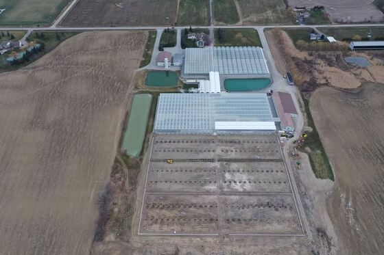 Rumah Kaca Wisata Wenluo - Rumah Kaca Pertanian Sayuran Berskala Besar