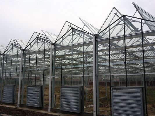 Venluo Sightseeing Glass Greenhouse - Rumah Kaca Pertanian Sayuran Berskala Besar