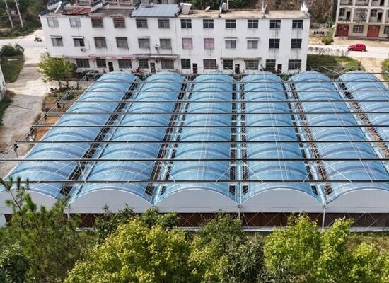 Rumah kaca dengan film polietilena berpanjangan terus digunakan untuk meningkatkan hasil sayuran dan mempercepat proses pematangan sayuran