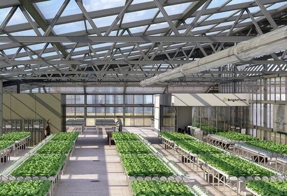 Rumah Kaca Wisata Wenlu - Rumah Kaca Pertanian Buah Berskala Besar