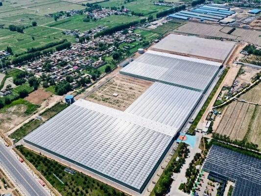 Rumah kaca untuk tanaman buah, rumah kaca kaca wisata Woonloos besar