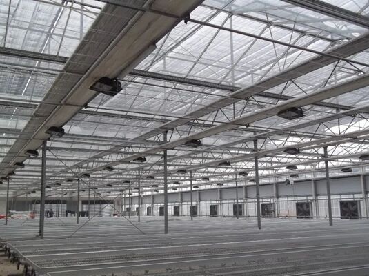 Rumah kaca untuk tanaman buah, rumah kaca kaca wisata Woonloos besar